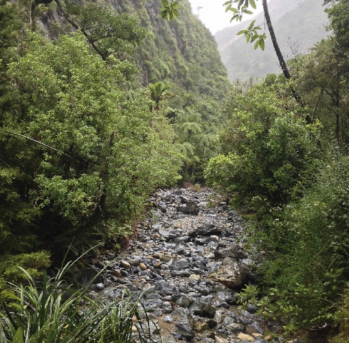 Rawhiti Cave Track